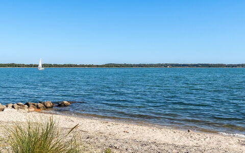 Alli - 100M from the Sea