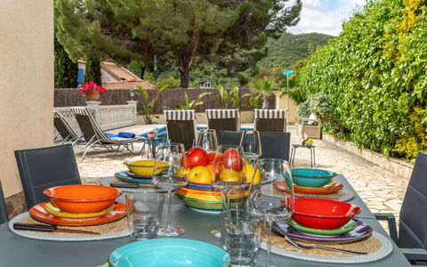 Marsa: Vegetationen, Busk, Forår, Sommerhus, Have, Skygge, Backyard, Gård, Stol