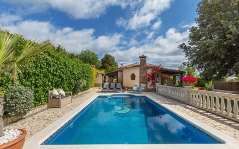 Marsa: Vegetationen, Busk, Forår, Sommerhus, Have, Skygge, Backyard, Gård, Stol