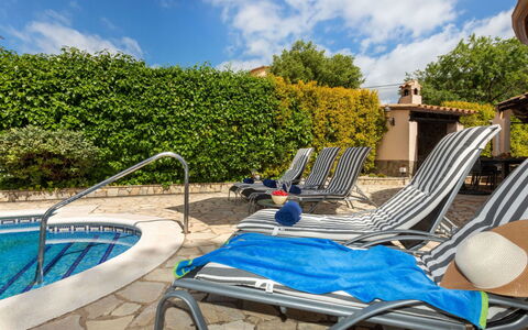 Marsa: Vegetationen, Busk, Forår, Sommerhus, Have, Skygge, Backyard, Gård, Stol