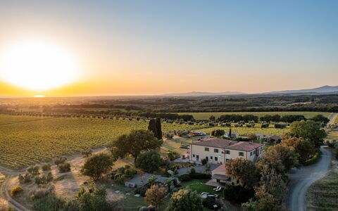 Villa Bellaria, Private Pool, Bolgheri: Landskab, Almindeligt, Horisont, Græs-, Land Lot, Landdistrikt, Økoregion, Mark, Landbrug, Plantation