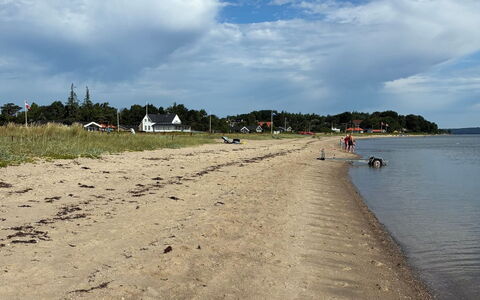 Fabian - 300M from the Sea: Træ, Møbel, Lejlighed, Værelse, Loft, Bejdse, Stol, Hårdttræ, Klarlak, Tømmer