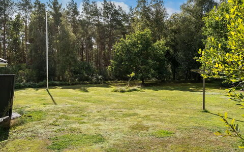 Fritzy - 1.5Km from the Sea: Græs, Træ, Blad, Land Lot, Lawn, Have, Bagagerum, Lund, Skygge