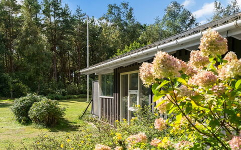 Fritzy - 1.5Km from the Sea: Vegetationen, Busk, Hus, Sommerhus, Hjem, Have, Land Lot, Plantesamfund, Bunddække, Forår