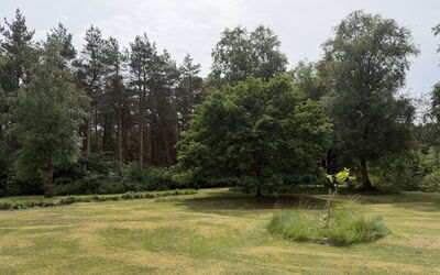 Fritzy - 1.5Km from the Sea