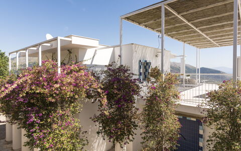 Capri: Altan, Lejlighed, Skygge, Dagslys
