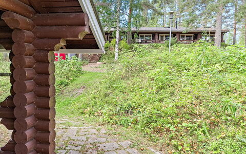 Mäkrä 3: Træ, Busk, Land Lot, Bunddække, Skov, Forår, Bagagerum, Woodland, Have, Sommerhus