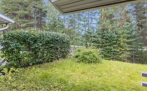 Artunkuja: Busk, Have, Bunddække, Forår, Hæk, Skygge, Lawn, Landscaping, Gård, Backyard