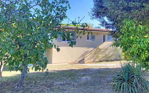 Linaglia: Skygge, Have, Backyard, Gård, Lawn, Landscaping, Indkørsel, Skygge, Stuehus
