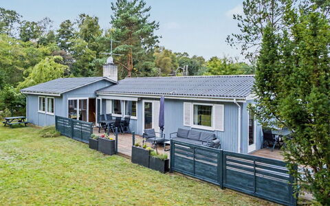 Karelia - 900M from the Sea: Hus, Hjem, Tag, Busk, Sommerhus, Boligområde, Sidespor, Veranda, Have, Estate