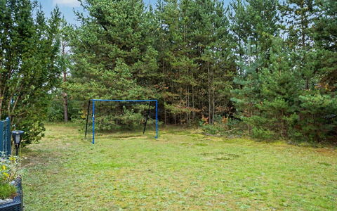 Karelia - 900M from the Sea: Træ, Vedplante, Lawn, Have, Lund, Woodland, Skygge, Parkere, Landscaping, Evergreen