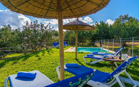Sa Serra: Blå, Svømmepøl, Udvej, Have, Udendørs Møbler, Eco Hotel, Landscaping, Liggestol, Paraply, Backyard