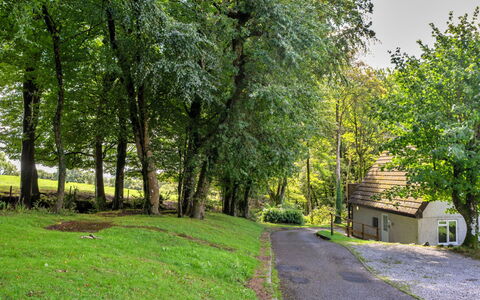 Foxgloves Valley Lodge: Træ, Afdeling, Blad, Græs, Natur, Vegetationen, Busk, Landdistrikt, Forår, Have