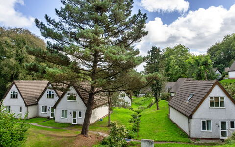 Daisy Valley Lodge: Busk, Landdistrikt, Sommerhus, Have, Lawn, Eng, Landscaping, Lærk, Evergreen