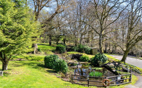 Daisy Valley Lodge: Græs, Træ, Blad, Natur, Afdeling, Busk, Naturlige Landskab, Have, Landskab