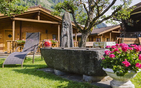 Mayrhofen 44: Bakke, Bjergkæde, Sommerhus, Dal, Landdistrikt, Have, Hill Station, Kam, Backyard