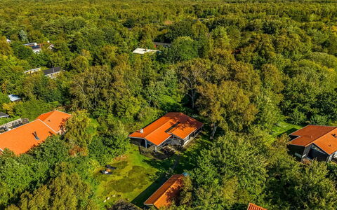 Aisa - 200M from the Sea: Naturligt Miljø, Natur, Fugleperspektiv, Landskab, Vegetationen, Boligområde, Luftfotografering, Land Lot, Landdistrikt, Hjem