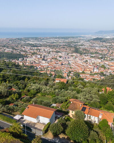 L'Edera e Il Mare