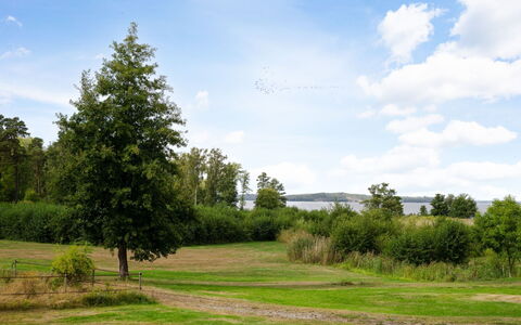 Björkfjärden: Himmel, Blå, Blad, Grøn, Græs, Træ, Natur, Naturligt Miljø, Afdeling, Vegetationen