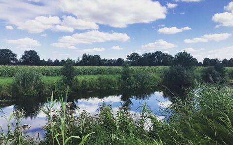 Meyer: Himmel, Blå, Sky, Grøn, Naturligt Miljø, Natur, Naturlige Landskab, Cumulus, Sommer, Græs-