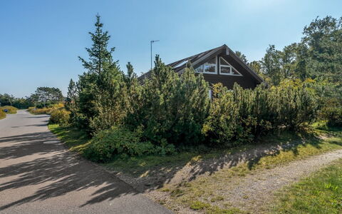 Herdina - 300M from the Sea: Himmel, Træ, Afdeling, Vegetationen, Busk, Land Lot, Indkørsel, Sti