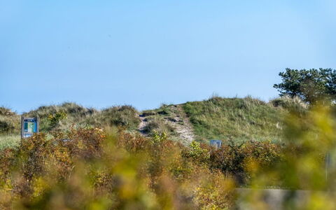 Herdina - 300M from the Sea: Himmel, Blå, Græs, Grøn, Vegetationen, Økoregion, Græs-, Plantesamfund, Busk