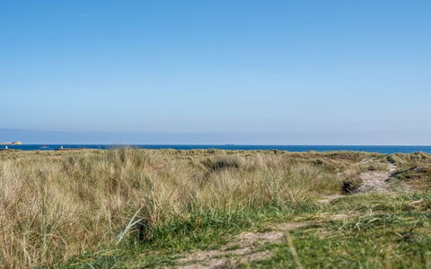 Herdina - 300M from the Sea: Blå, Græs, Horisont, Græs-, Økoregion, Sommer, Hav, Plantesamfund, Shrubland, Almindeligt