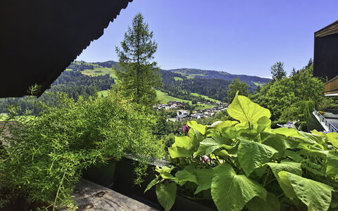Manharthof: Arkitektur, Hældning, Sommerhus, Bjergkæde, Bjælkehytte, Sidespor, Tømmer, Alps, Eco Hotel, Bjerglandsby
