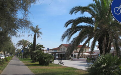Casa Corallina: Træ, Offentlige Rum, Skygge, Fortov, Walkway, Indkørsel