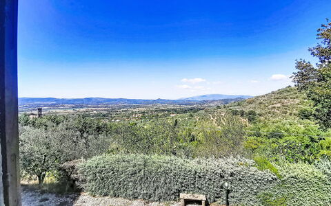 La Villa di Andrea: Blå, Natur, Vegetationen, Bakke, Landskab, Plantesamfund, Morgen, Sollys, Shrubland, Chaparral