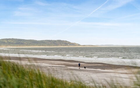 Alena - 50M from the Sea: Naturligt Miljø, Strand, Kyst, Horisont, Økoregion, Hav, Coastal Og Oceaniske Landskabsformer, Kyst, Ocean, Sand