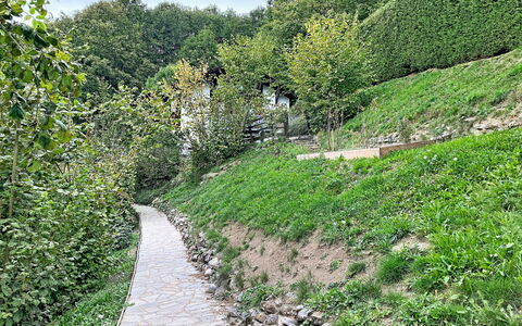 Chalet Scarbo: Grøn, Græs, Blad, Vegetationen, Busk, Naturlige Landskab, Have, Plantesamfund, Bunddække