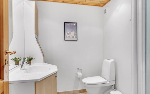 Terese - 200M to the Fjord: Sanitærarmatur, Gulvbelægning, Indretning, Etage, Badeværelse, Håndvask, Toilet, Toiletbræt, Loft, Vvs