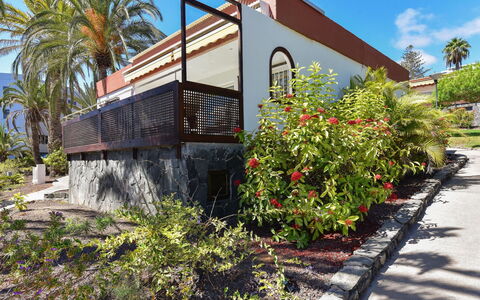 Red Rocks: Træ, Busk, Skygge, Have, Eco Hotel, Landscaping, Hacienda, Walkway