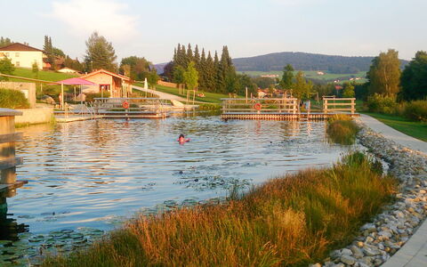 Stephi: Krop Af Vand, Bank, Vandløb, Sø, Dam, Reservoir, Afspejling, Kanal, Have, Water Feature