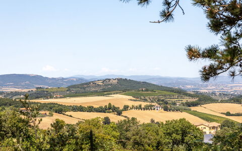 Il Melograno Apartament: Himmel, Træ, Blad, Natur, Vegetationen, Naturlige Landskab, Bakke, Økoregion, Landskab, Plantesamfund