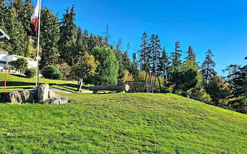 Crans-Montana 480: Græs, Grøn, Græs-, Landskab, Land Lot, Eng, Lawn, Pasture, Lærk