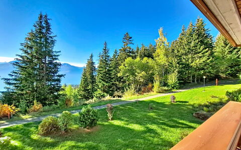 Crans-Montana 480: Træ, Landskab, Bakke, Hill Station, Bjergkæde, Lærk, Skov, Dal, Hældning, Kam