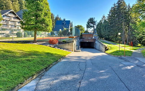 Crans-Montana 480: Træ, Skygge, Lærk, Landscaping, Walkway, Evergreen, Indkørsel, Pine Family