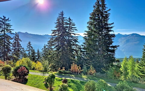 Crans-Montana 480: Himmel, Bjergrige Landskabsformer, Træ, Bjerg, Natur, Bakke, Ødemark, Highland, Landskab, Bjergkæde