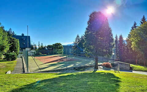 Crans-Montana 480: Blå, Himmel, Træ, Lærk, Hældning, Lawn, Landscaping, Evergreen, Parkere
