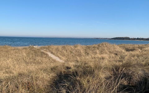 Evtim - 275M from the Sea: Kyst, Hav, Horisont, Coastal Og Oceaniske Landskabsformer, Økoregion, Kyst, Strand, Ocean