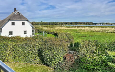 Moderne Zeiten: Grøn, Græs, Vegetationen, Hus, Græs-, Tag, Landskab, Landdistrikt, Sommerhus
