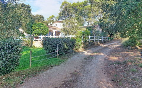 Moun Pantai: Træ, Busk, Estate, Sommerhus, Jord, Forstad, Skygge, Sti, Hacienda, Indkørsel