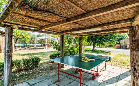 Podere degli Ulivi: Svømmepøl, Udendørs Møbler, Have, Møbel, Udvej, Skygge, Eco Hotel, Backyard, Fritid, Stol