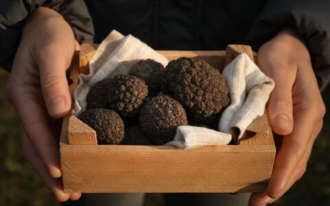 Pod Meloni: Ingrediens, Mad, Dessert, Superfood