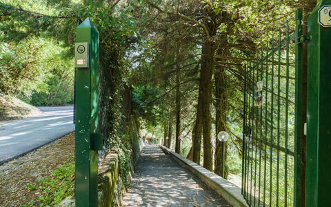 Casa Il Noce: Lejlighed, Udvej, Svømmepøl, Ejerlejlighed, Altan, Hotel, Eco Hotel, Villa, Stueplante