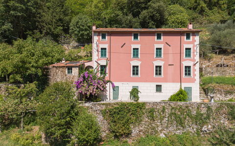 Casa Il Noce: Lejlighed, Udvej, Svømmepøl, Ejerlejlighed, Altan, Hotel, Eco Hotel, Villa, Stueplante