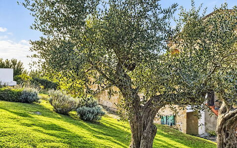 Bellomori House: Mursten, Estate, Have, Forstad, Indkørsel, Landscaping, Gård, Hacienda, Stuehus, Backyard