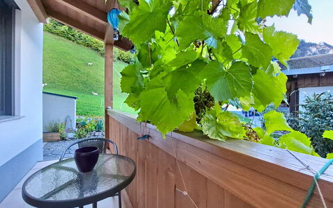 Oberladstätter: Skygge, Bejdse, Hårdttræ, Eco Hotel, Altan, Stueplante